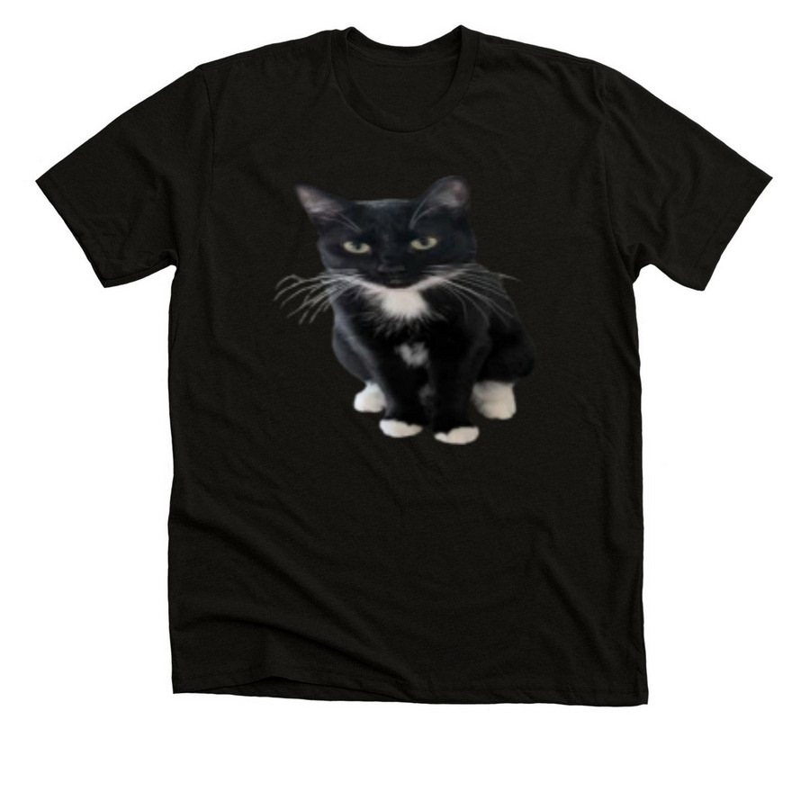 The Ruffles Collection, a Solid Black Blend Premium Unisex Tee