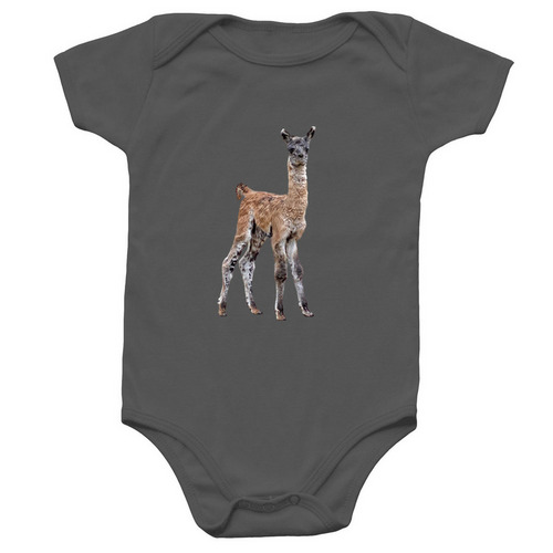 Baby Chewbacca, a Charcoal Infant Onesie