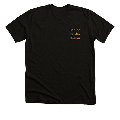 CCH Basic Design, a Black Heather Premium Unisex Tee