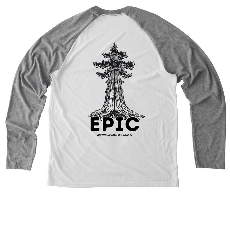 Old-Growth Redwoods, a Aluminum Grey/ Bright White Allmade Eco Triblend Colorblock Raglan Long Sleeve Tee (back-view)