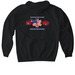 America's 250th with Fireworks, a Black Gildan Softstyle Pullover Hoodie (back-view)
