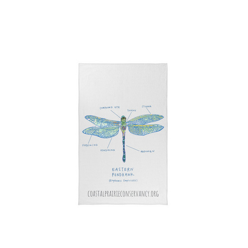 Limited Edition: Dragonfly Diagram, a White Tea Towel