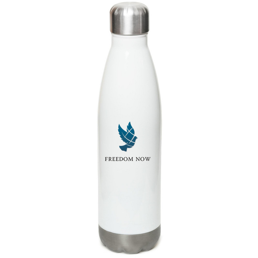 Freedom Now Water Bottle, a White Stainless Steel Water Bottle