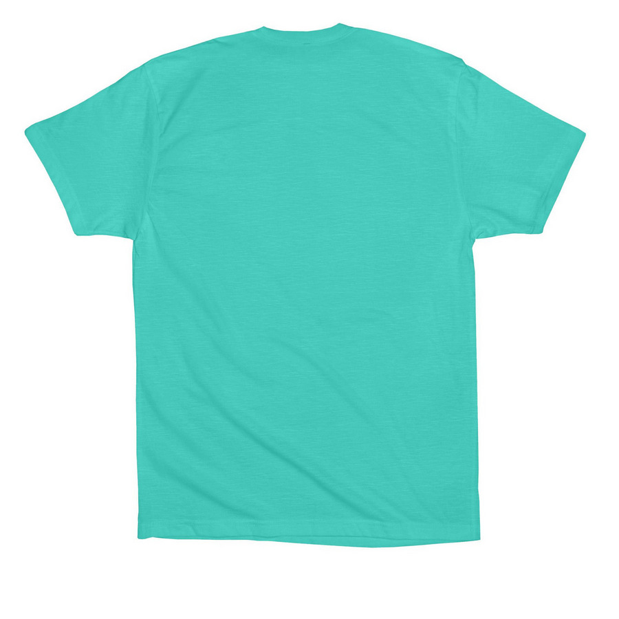 Hackett Hill&nbsp;, a Teal Premium Cotton Tee (back-view)