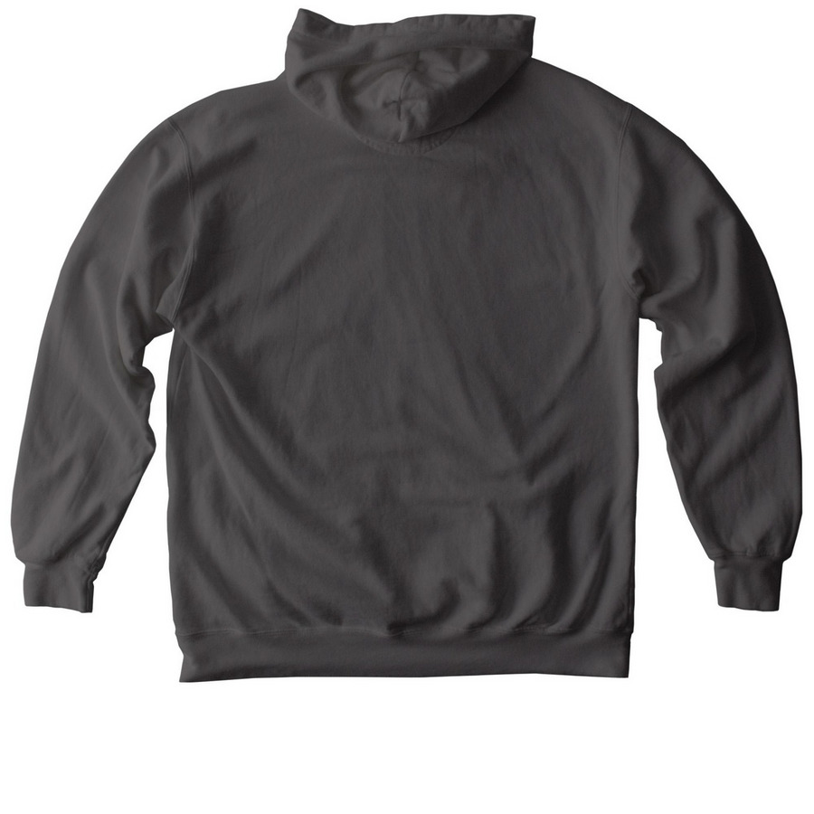 Protect Kids Sweatshirt, a Pepper Comfort Colors Pullover Hoodie (back-view)