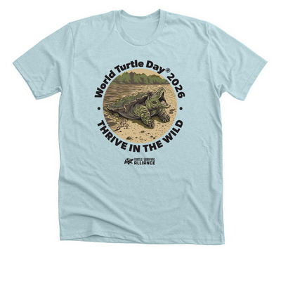 World Turtle Day? 2026, a Heather Ice Blue Premium Unisex Tee
