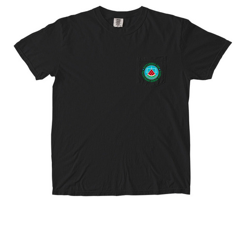 ALX4Pal Pocket Logo Tee, a Black Comfort Colors Pocket Tee