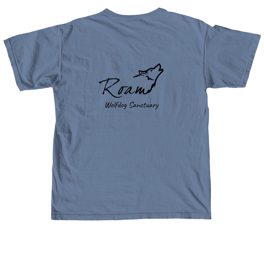 Roam logo front and back, a Blue Jean Comfort Colors Unisex Tee (back-view)
