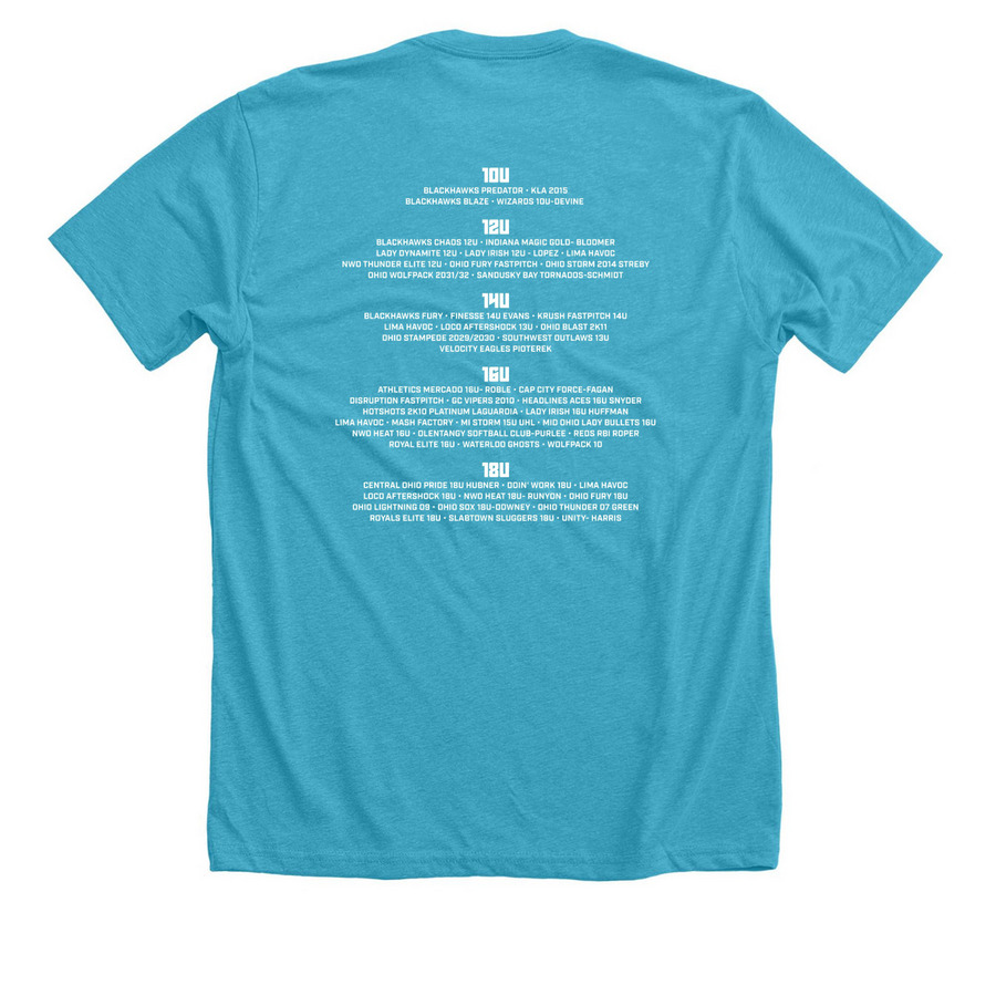 Battle of The Great Lakes/Stars & Strikes, a Heather Aqua Premium Unisex Tee (back-view)