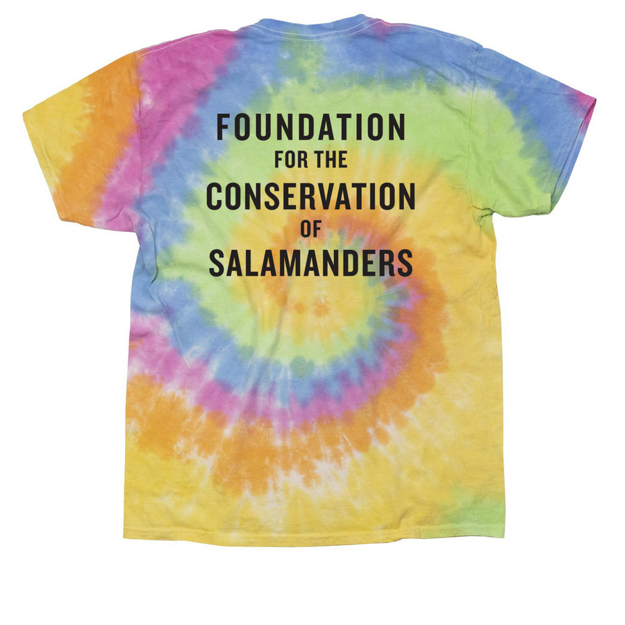 2025&nbsp;Salamander Stroll Virtual 5k Front Piece, a Eternity Classic Tie Dye Tee (back-view)