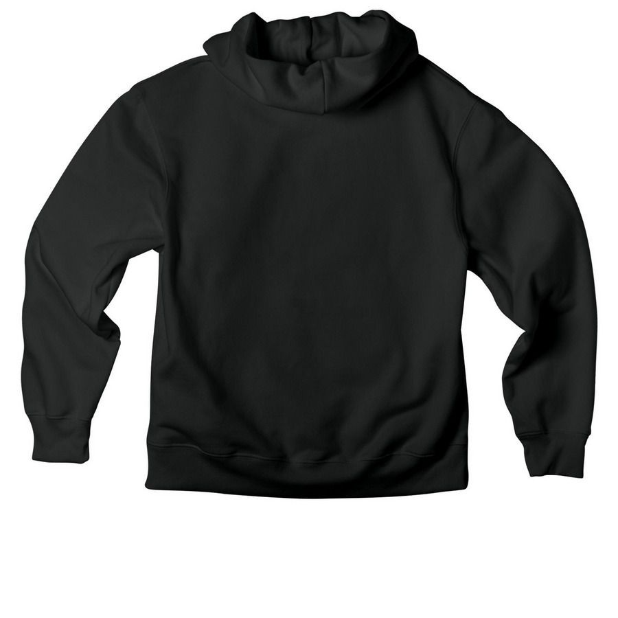 Vintage Black Disciple Hoodie, a Vintage Black Premium Heavyweight Pullover Hoodie (back-view)