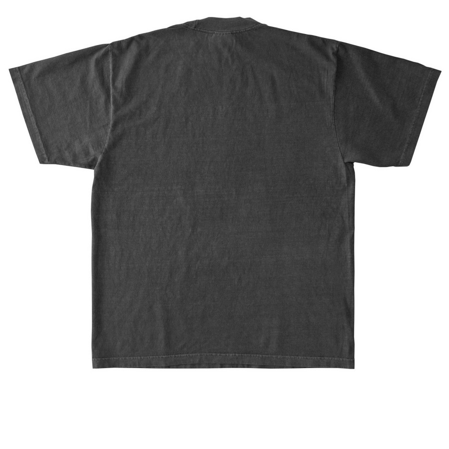 HINENI bet, a Shadow Heavyweight Garment Dye Tee (back-view)