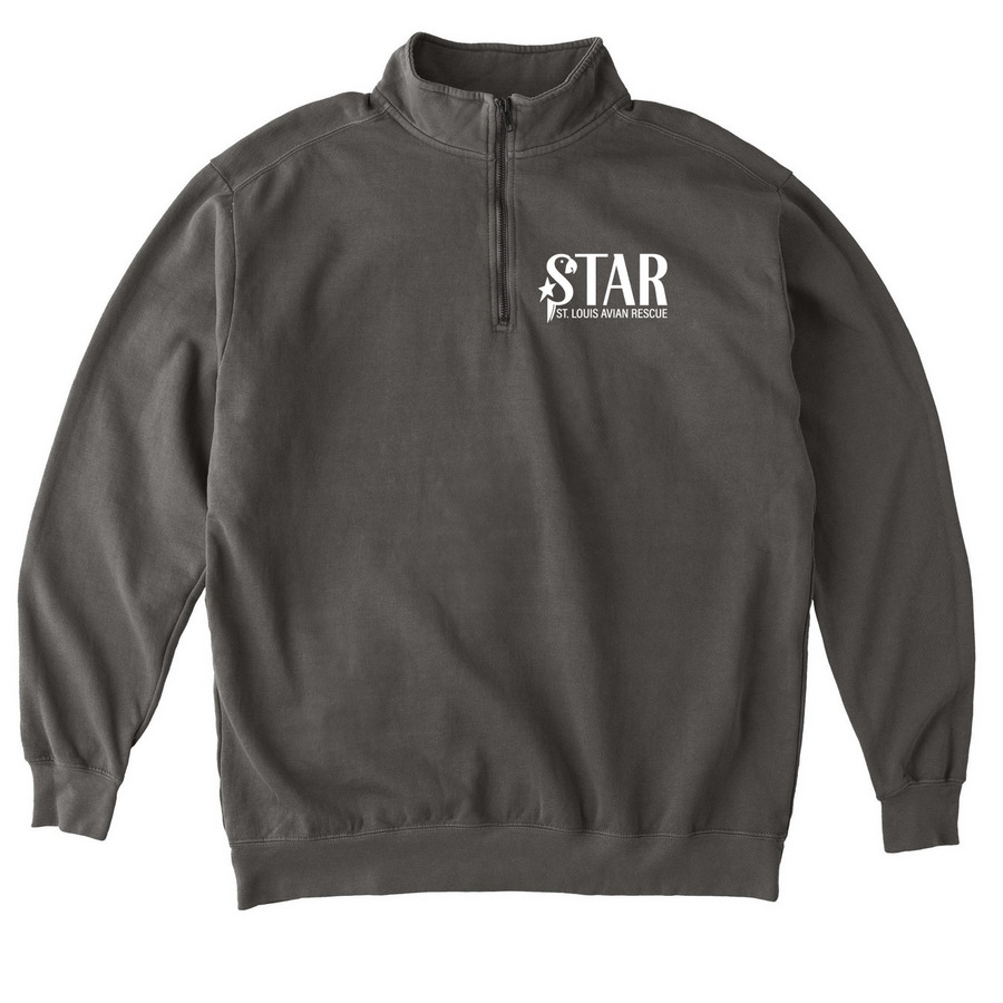 Foster Today - Zip, a Pepper Comfort Colors Quarter Zip Pullover