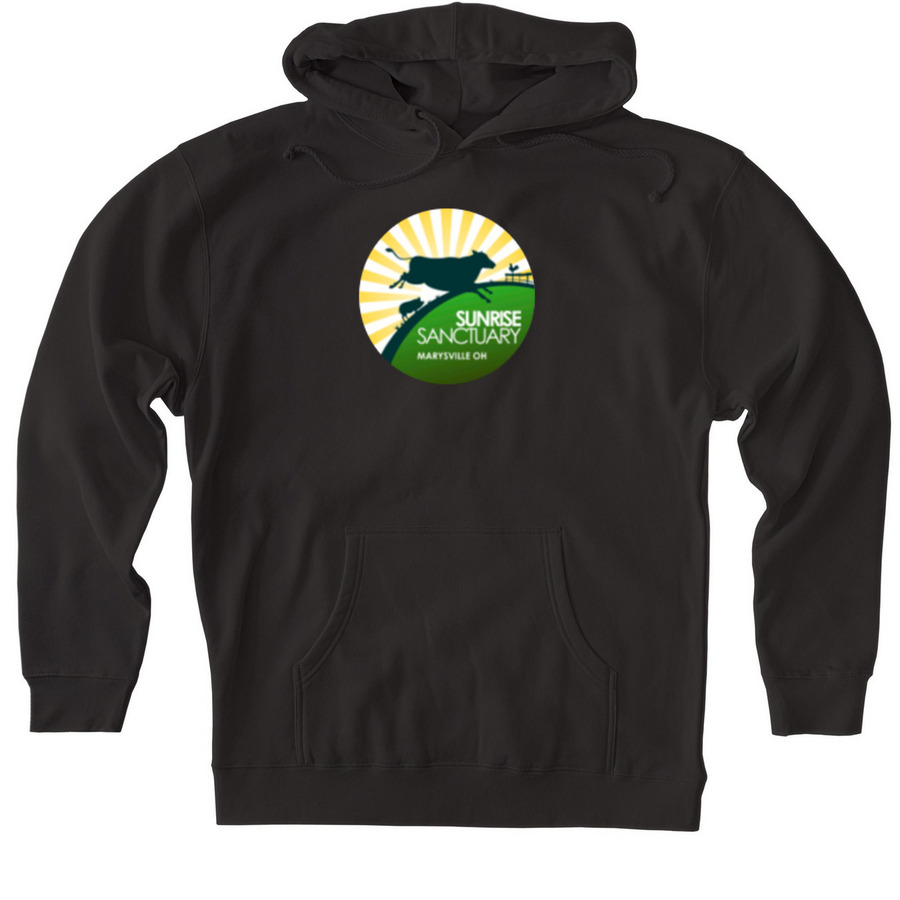 Classic Logo Hoodies & Sweatshirts, a Black Heavyweight Pullover Hoodie