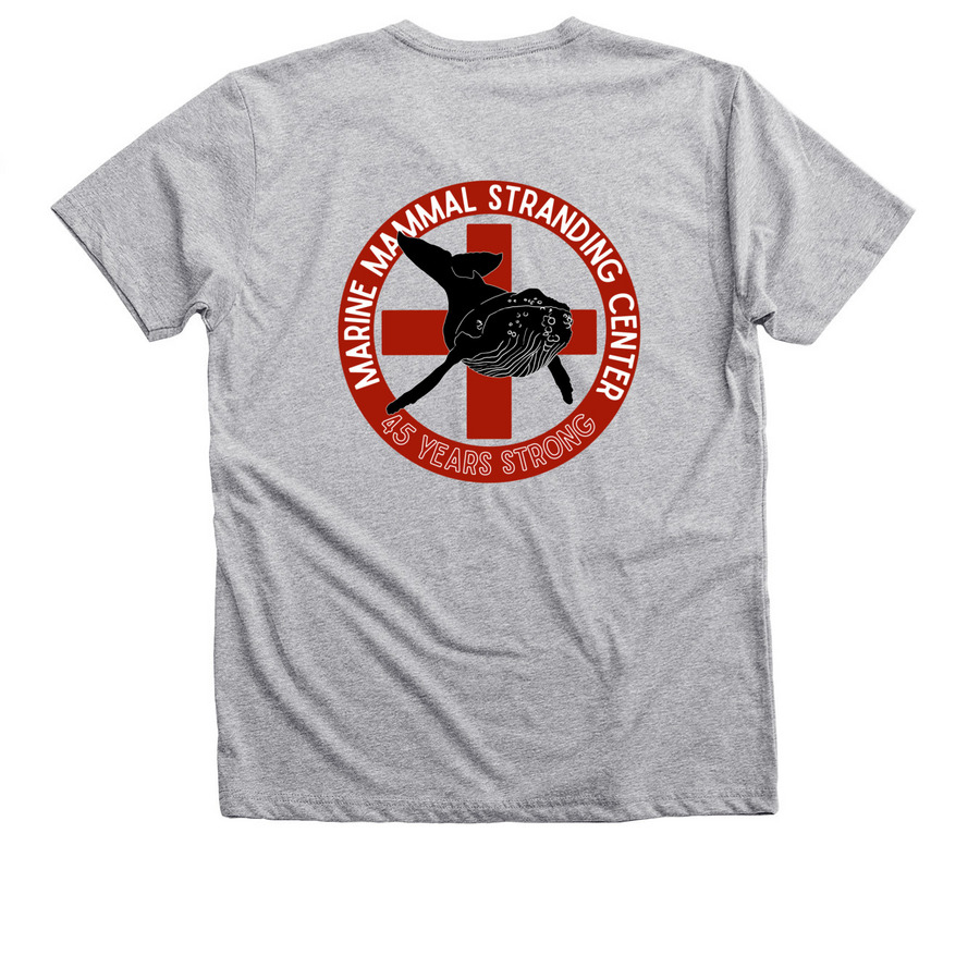 MMSC 45th Anniversary apparel, a Athletic Heather Premium V-Neck Tee (back-view)