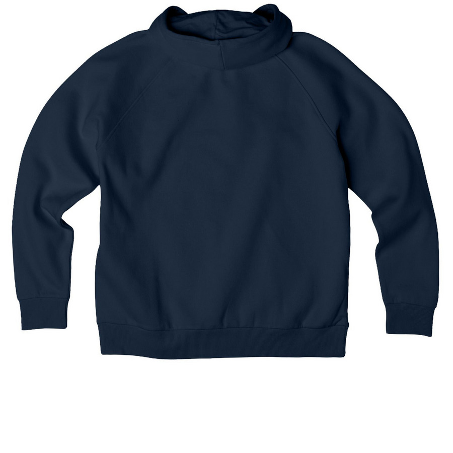 25th Anniversary Hoodie, a Rebel Blue Allmade Organic CVC Pullover Hoodie (back-view)