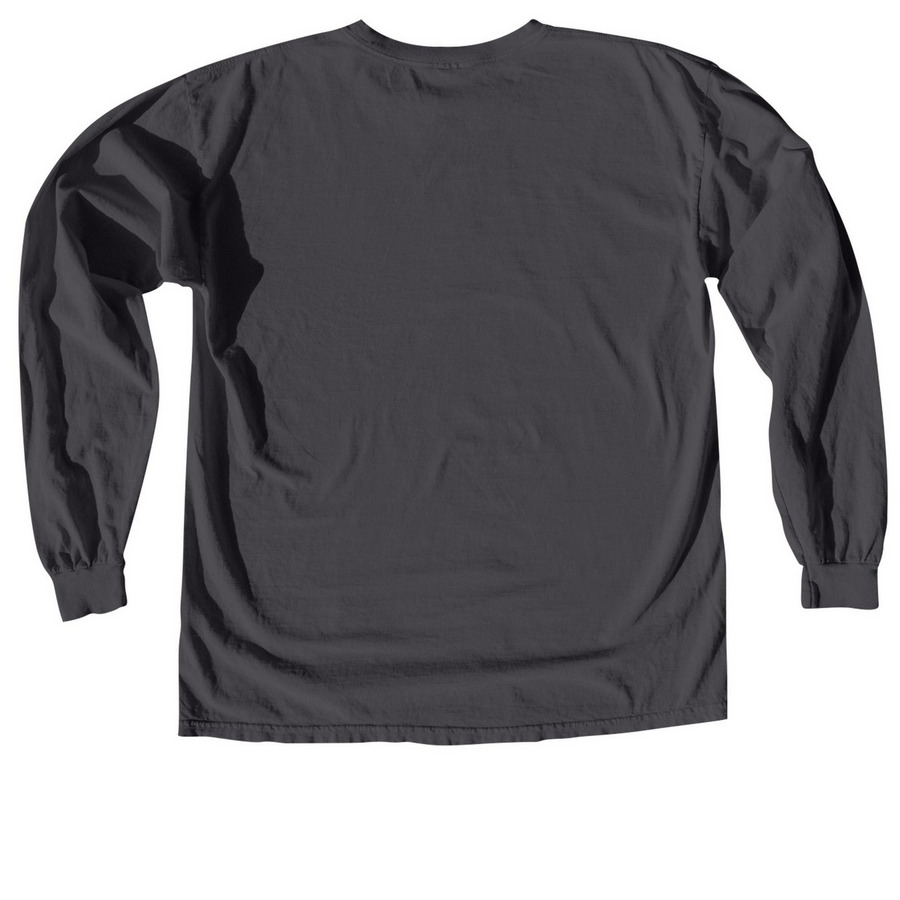 sol logo long sleeve, a Graphite Comfort Colors Long Sleeve Tee (back-view)