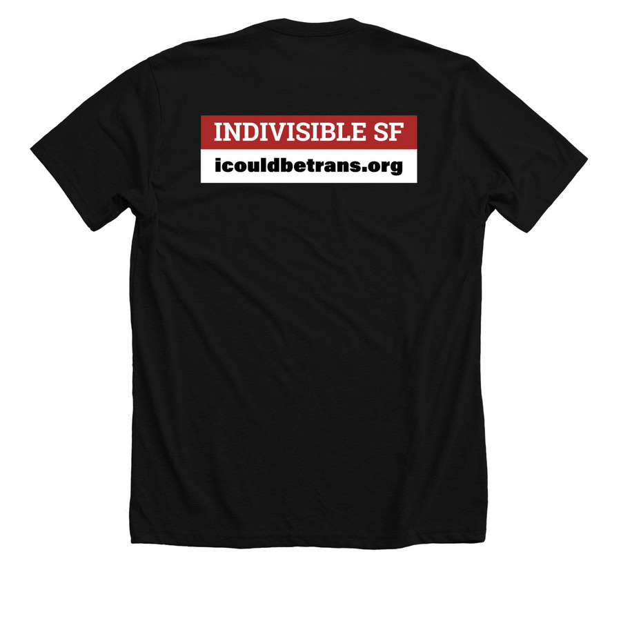 I Could Be Trans T-Shirts, a Solid Black Blend Premium Unisex Tee (back-view)