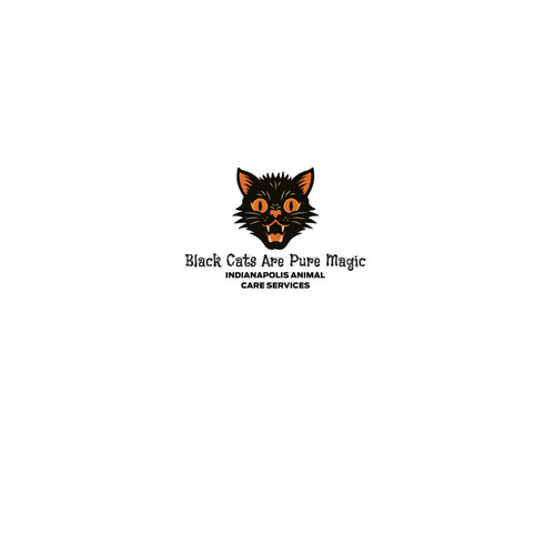 Black Cats Are Pure Magic - Sticker, a White Kiss Cut Sticker