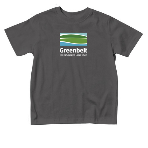 Toddler, a Charcoal Toddler Tee