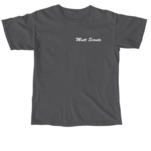 The Basics, a Pepper Comfort Colors Unisex Tee