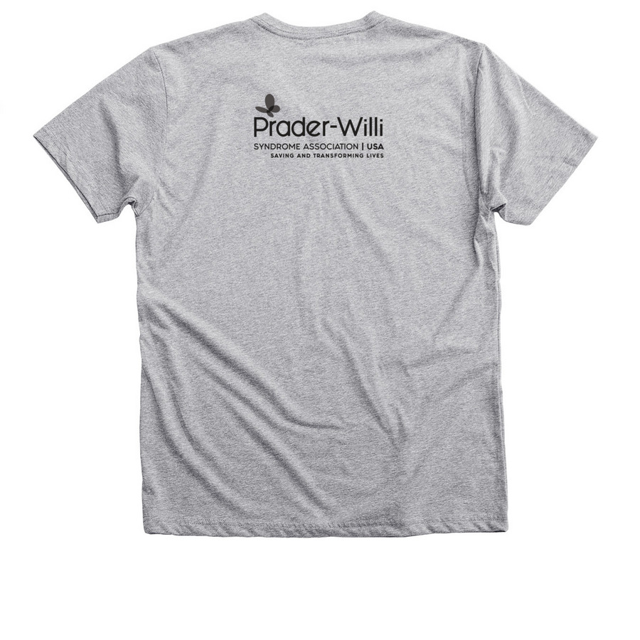 Stripes Are Awesome Light T's, a Athletic Heather Premium V-Neck Tee (back-view)