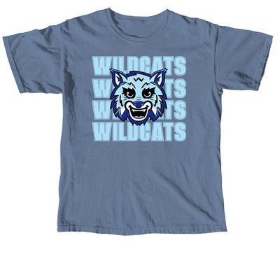 Adult & Youth Sizes, a Blue Jean Comfort Colors Unisex Tee
