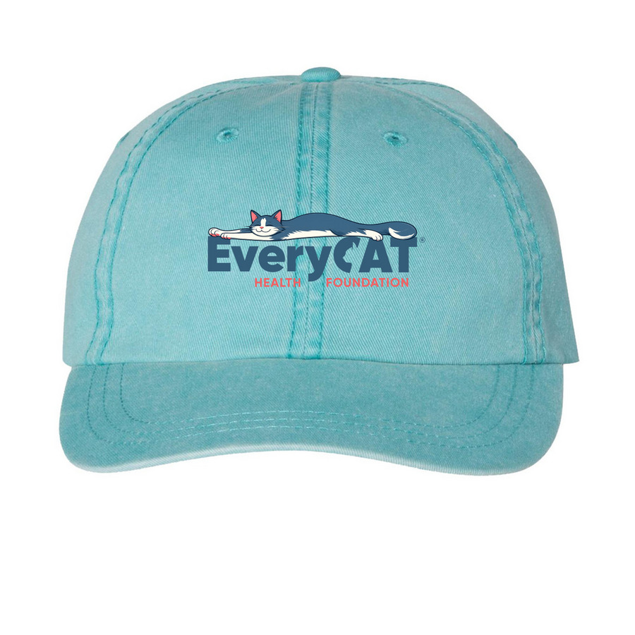 EveryCat Hats, a Aqua Printed Pigment Dye Baseball Cap