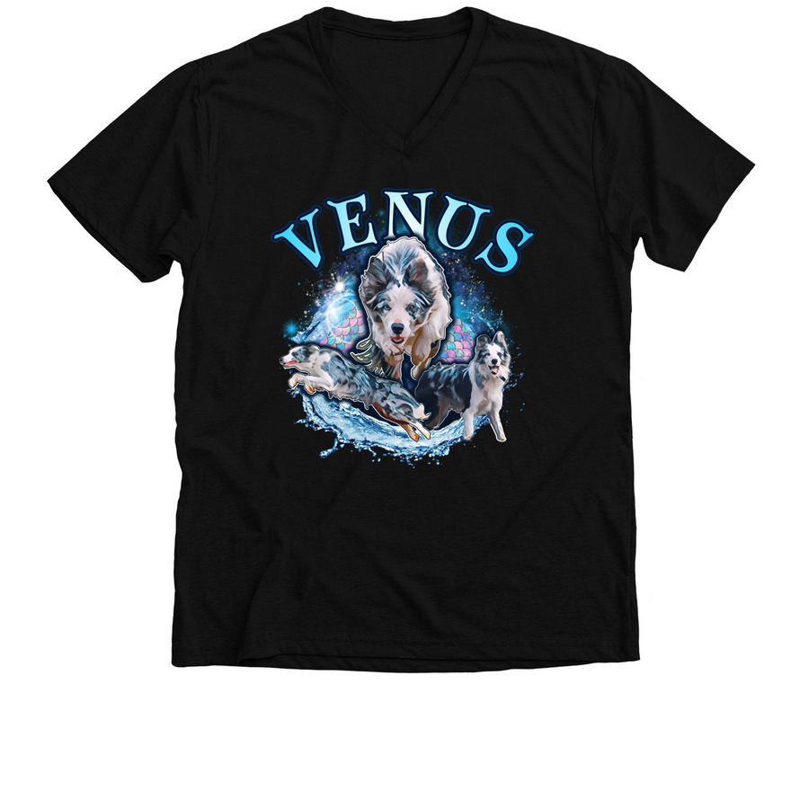 Venus 2026, a Solid Black Blend Premium V-Neck Tee