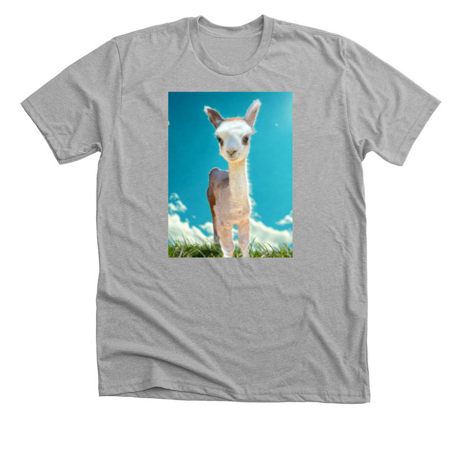 Samson, a Athletic Heather Premium Unisex Tee