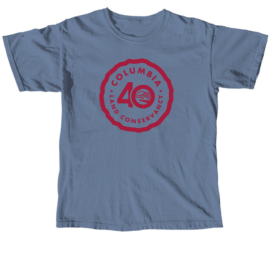 Shirts, a Blue Jean Comfort Colors Unisex Tee