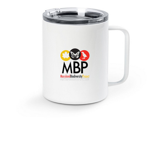 10 oz insulated travel mug, a White Stainless Steel Travel Mug