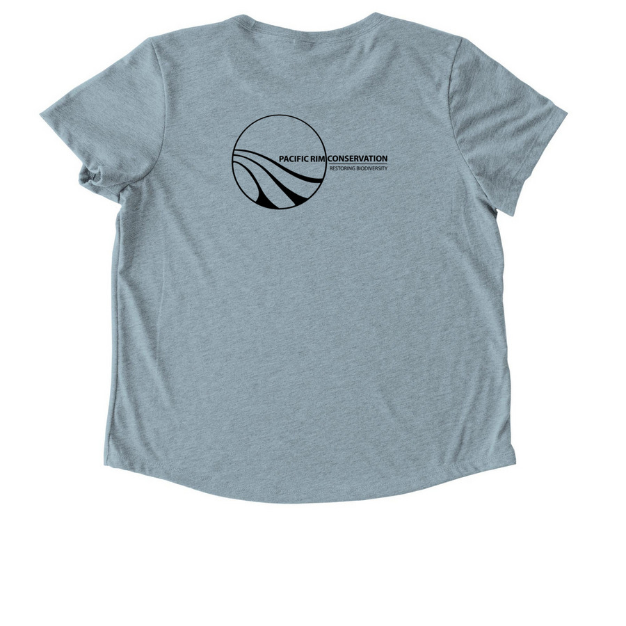Nunulu&nbsp;, a I Like You Blue Allmade Eco Triblend Women?s Scoop Neck Tee (back-view)