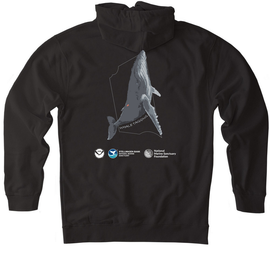 Whale Tagging, a Black Heavyweight Pullover Hoodie (back-view)