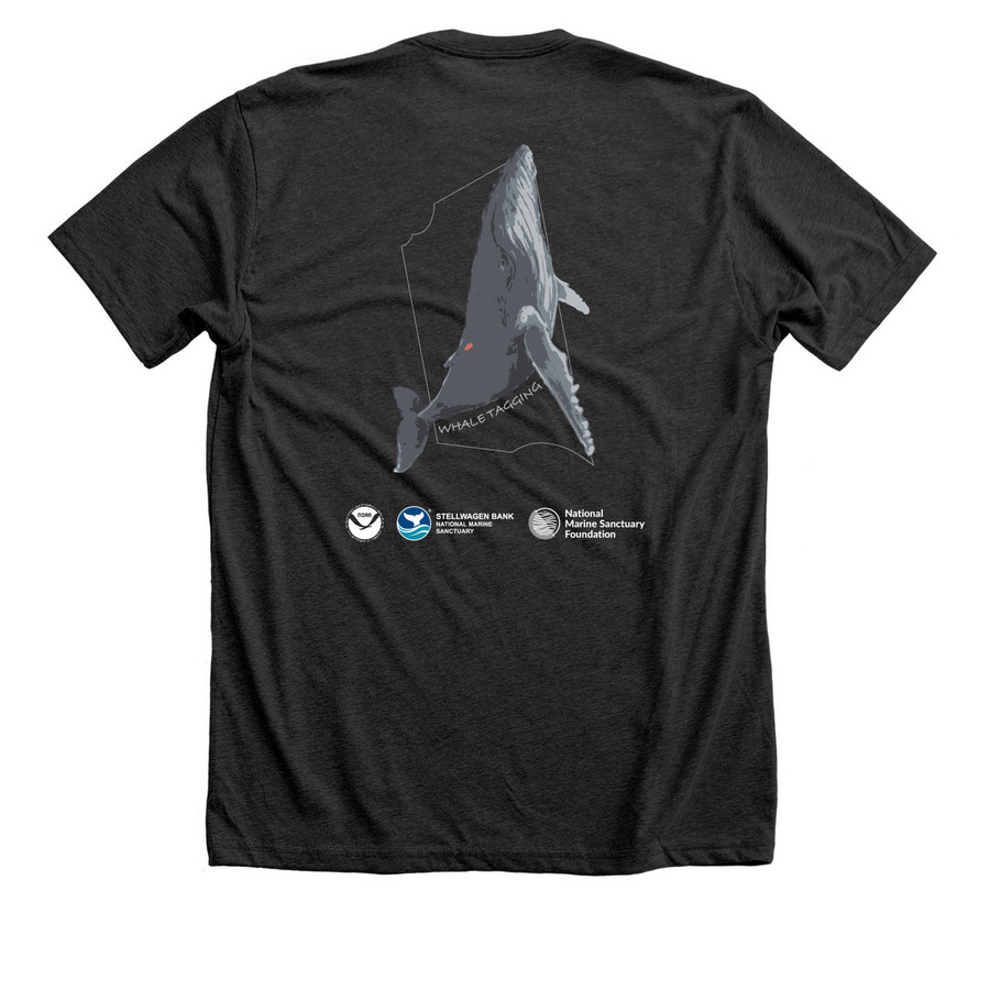 Whale Tagging, a Dark Grey Heather Premium Unisex Tee (back-view)