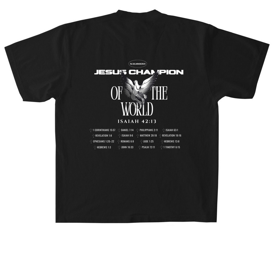 Champion of The World Tour (Dark), a Black Heavyweight Garment Dye Tee (back-view)
