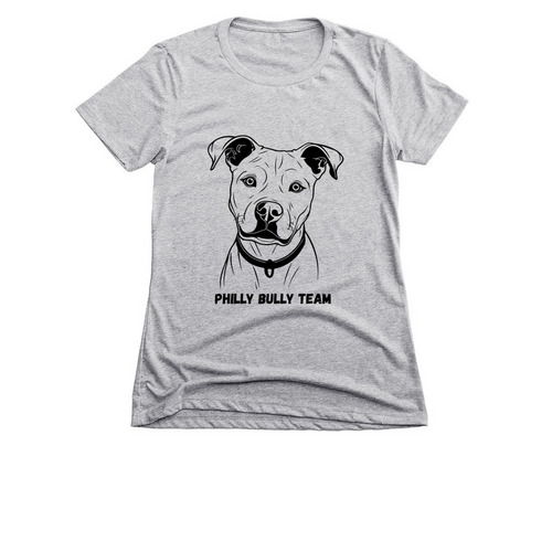 HEALTHY DOG FUNDRAISER!, a Dark Heather Grey Women's Slim Fit Tee