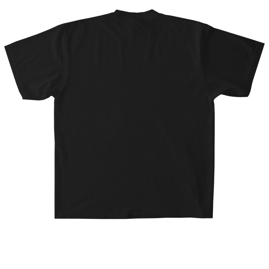 Adult Oversized Shirts, a Black Heavyweight Garment Dye Tee (back-view)