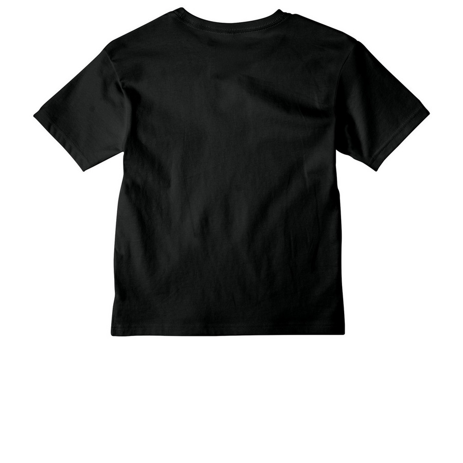 Youth Dino only, a Vintage Black Youth Heavyweight Tee (back-view)