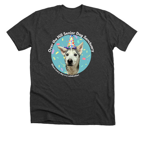 Pie's Sweet 16 Fundraiser!&nbsp;, a Dark Grey Heather Premium Unisex Tee