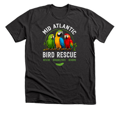 Support the Flock, a Dark Grey Heather Premium Unisex Tee