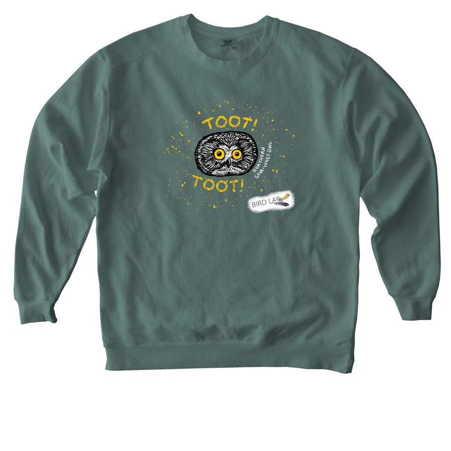 Bird Lab's Northern Saw-whet Owl Banding, a Blue Spruce Comfort Colors Crewneck Sweatshirt