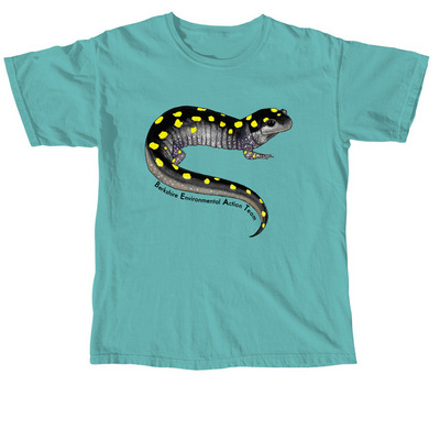 BEAT Spotted Salamander Shirt (black font), a Seafoam Comfort Colors Unisex Tee