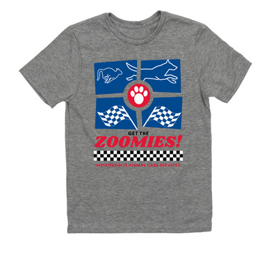 Get the Zoomies!, a Aluminum Grey Allmade Youth Eco Triblend Tee