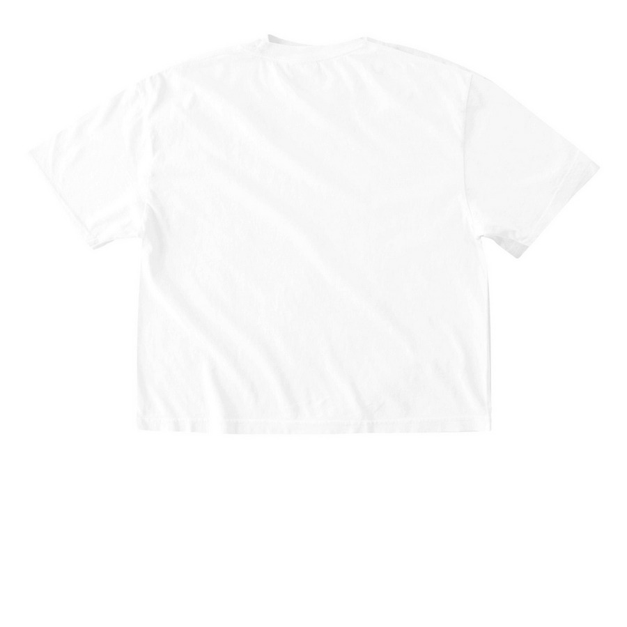 WTS Boxy Tee, Color Logo, a White Comfort Colors Boxy Tee (back-view)