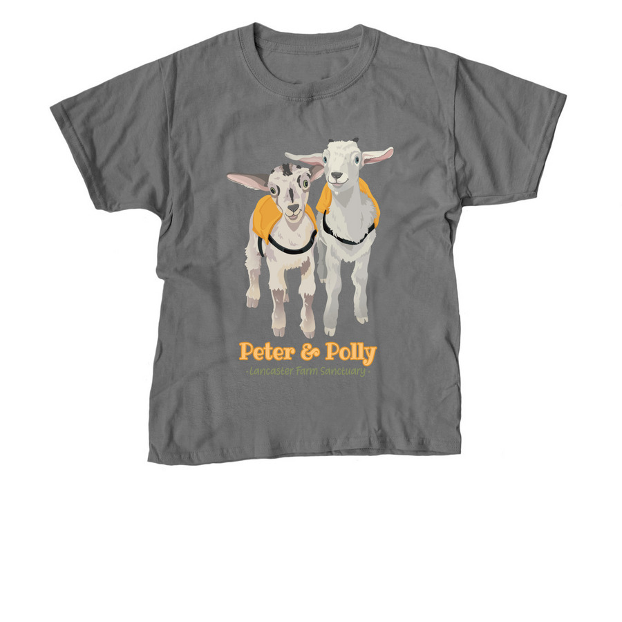 Peter & Polly - Youth + Adult Sizes, a Charcoal Youth Unisex Tee
