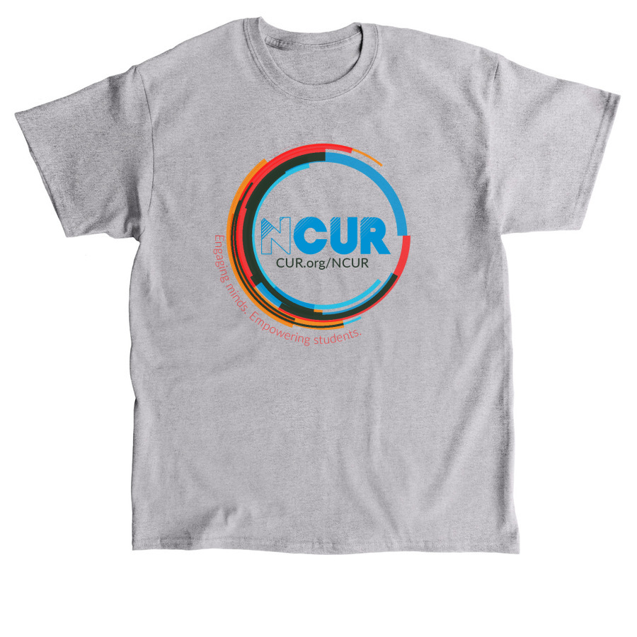 NCUR Clothing, a Sport Grey Classic Unisex Tee
