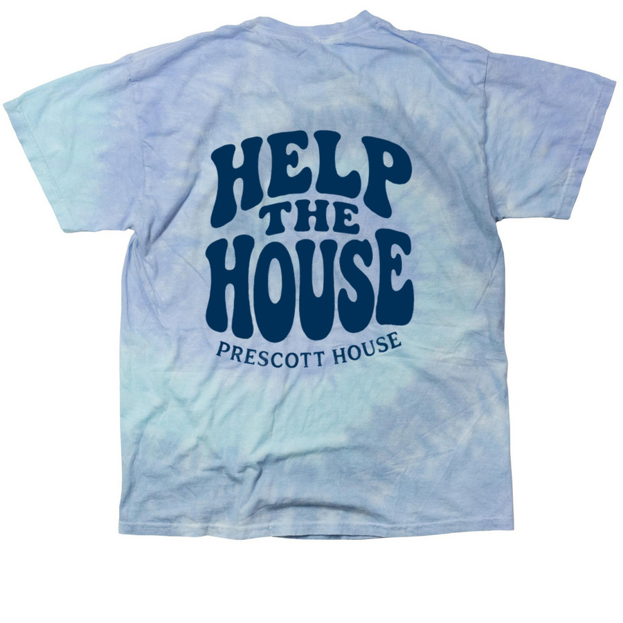 Tie Dye T-Shirt, a Lagoon Classic Tie Dye Tee (back-view)