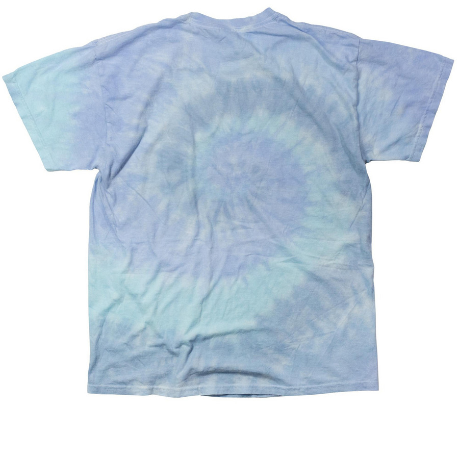 Books, Y'all - SpringCon 2026 (blue text), a Lagoon Classic Tie Dye Tee (back-view)