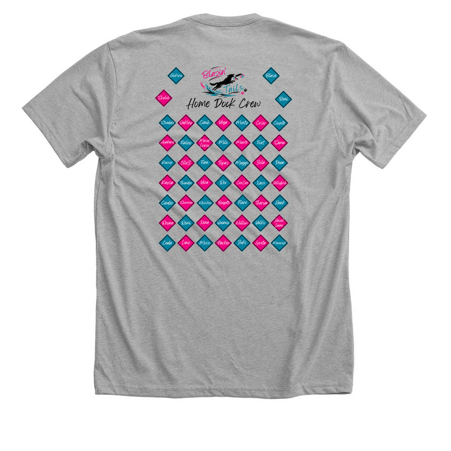 2026 Regionals/Nationals Shirts, a Athletic Heather Premium Unisex Tee (back-view)